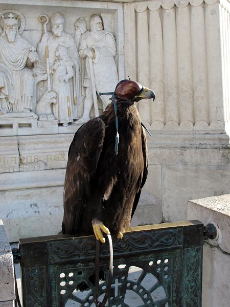 Budapest (40).JPG